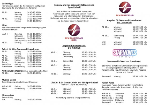 Hauptflyer innen